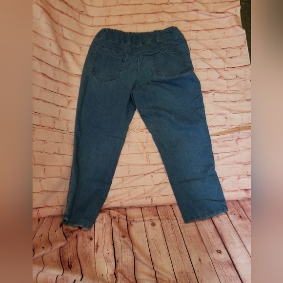 EUC BLAIR Jeans Women's Size 16PT (Lot of 2) - Picture 4 of 9